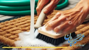 شستشوی پادری washing a doormat