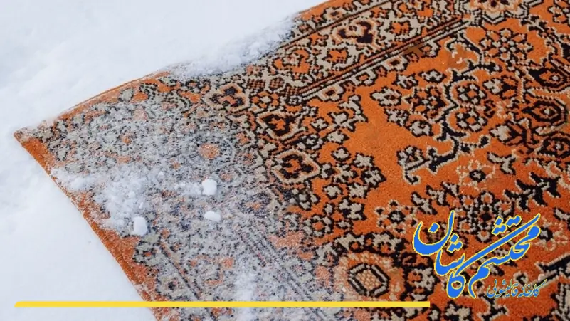 شست و شوی فرش