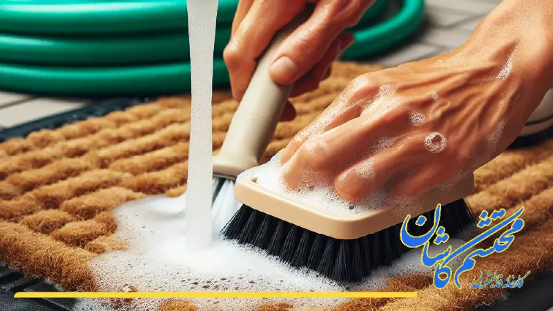 شستشوی پادری washing a doormat