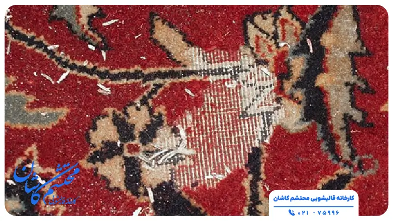 بیدخوردگی فرش