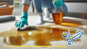 پاک کردن لکه روغن و چربی از روی فرش
