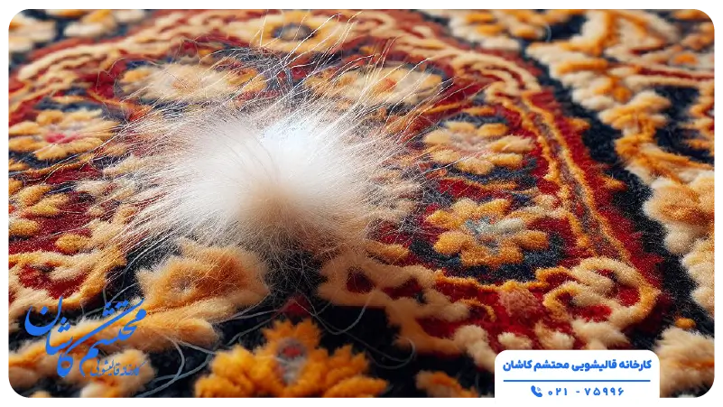 پرزگیری موی حیوانات از روی فرش